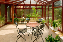 Thistledae conservatory quotes